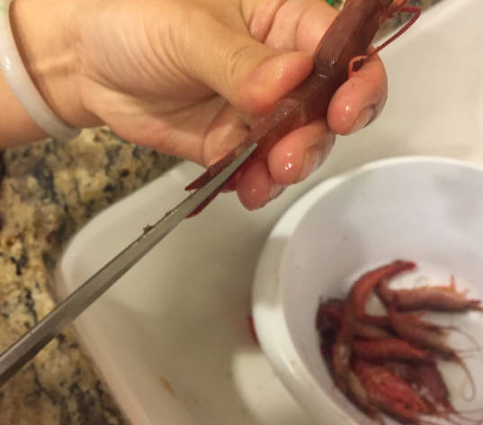Cut the shrimp in half with scissors. Don't cut the tail. Remove the gut and wash it