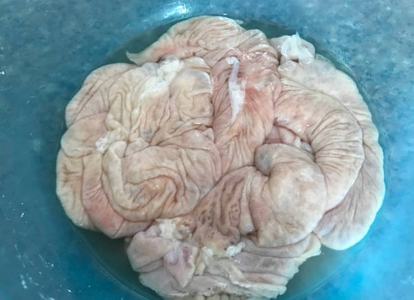 Rinse pig's large intestine with salt and white vinegar for 10 minutes and rinse it with water